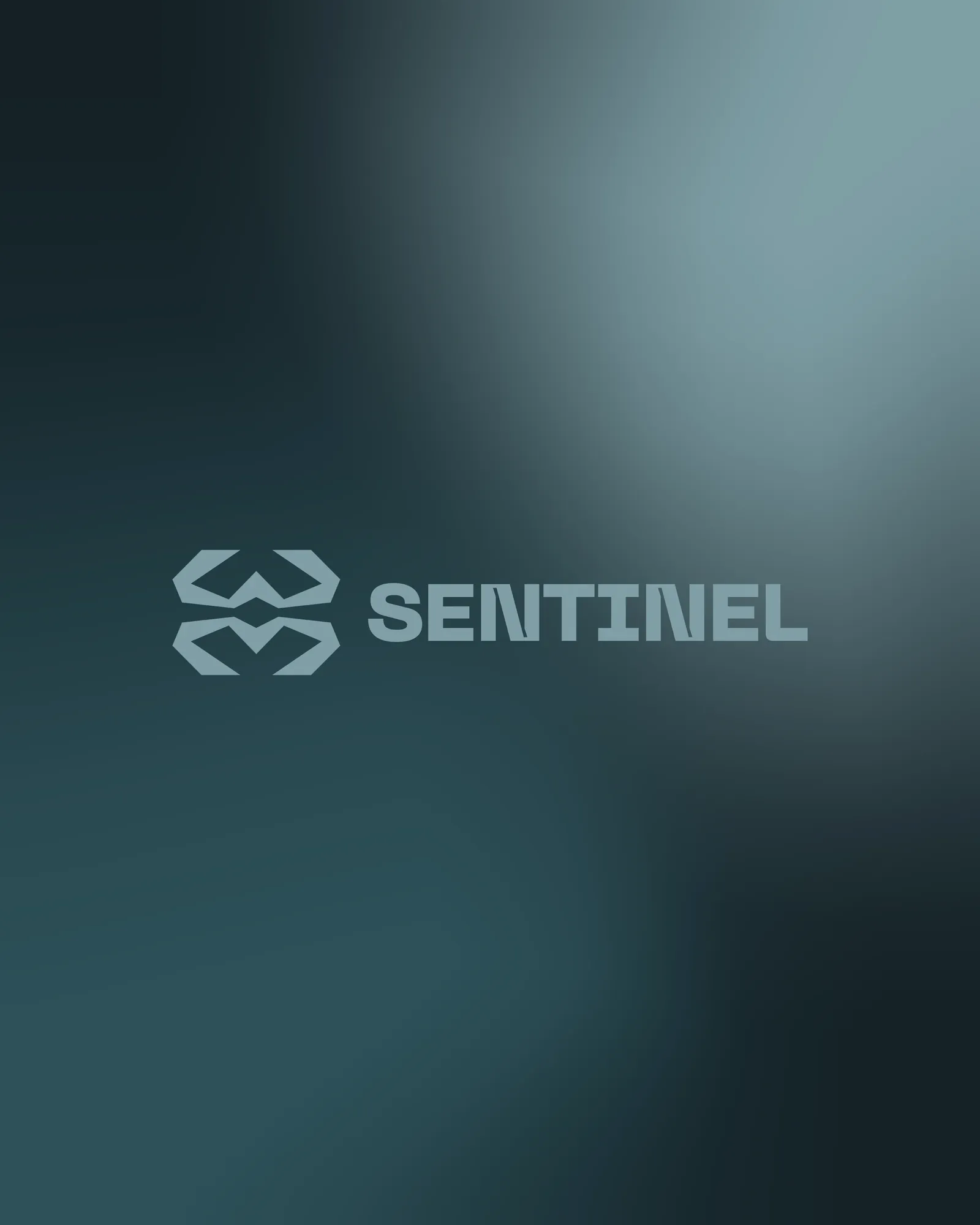 Sentinel — brand identity design for a drone security company by Visage creative agency — image 4 of 4